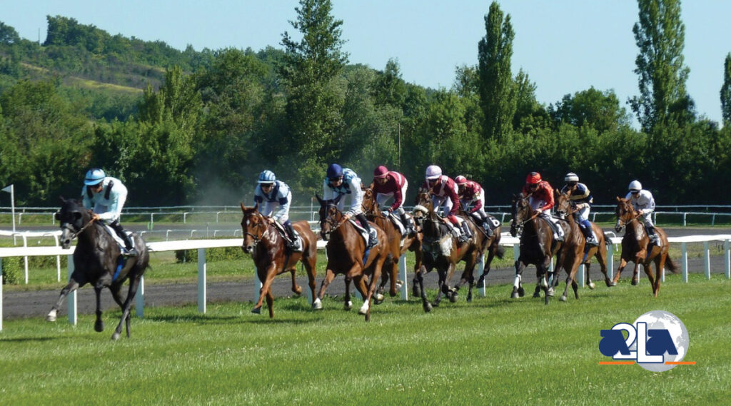 Race horses racing on a green outdoor track